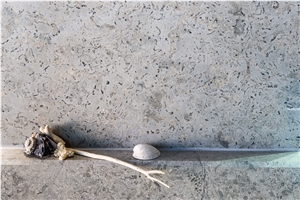 Transylvania Coral Limestone Slabs & Tiles