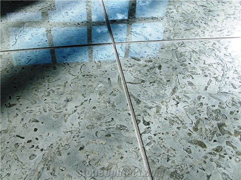 Transylvania Coral Limestone Slabs & Tiles