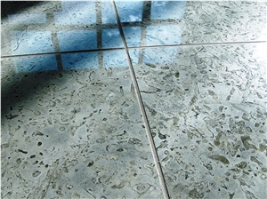 Transylvania Coral Limestone Slabs & Tiles
