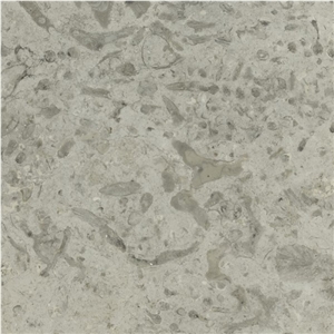 Transylvania Coral Limestone Slabs & Tiles