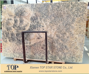Landscape Grey Onyx Slab