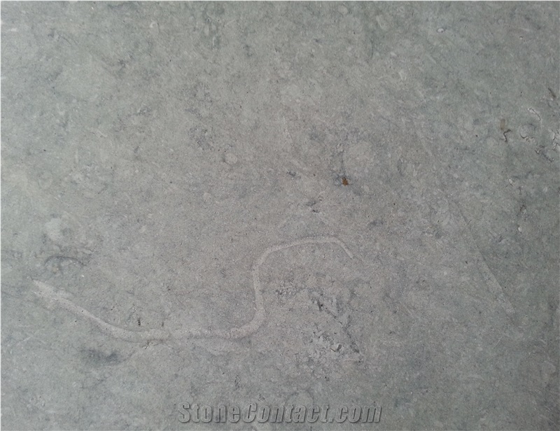 Gris Foussana,Limestone walling Slabs & TilesFoussana Gris,Foussana Grey,Foussana,Grigio Oriente,Oriente Grigio,Grigio Saraceno,Noella,Grey Oriental,Foussana Limestone,Grigio Fossena