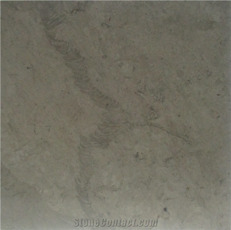 London Grey Light Grey Grigio Limestone Slabs & Tiles, Italy Grey Limestone