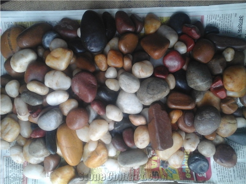Natural Narmada River Mix Color Pebble Stones