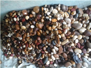 Natural Narmada River Mix Color Pebble Stones