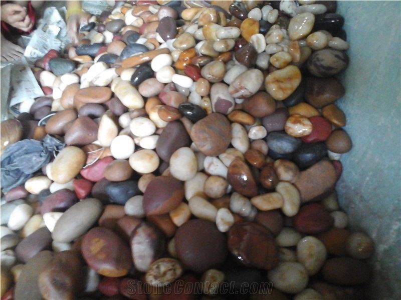 Natural Narmada River Mix Color Pebble Stones