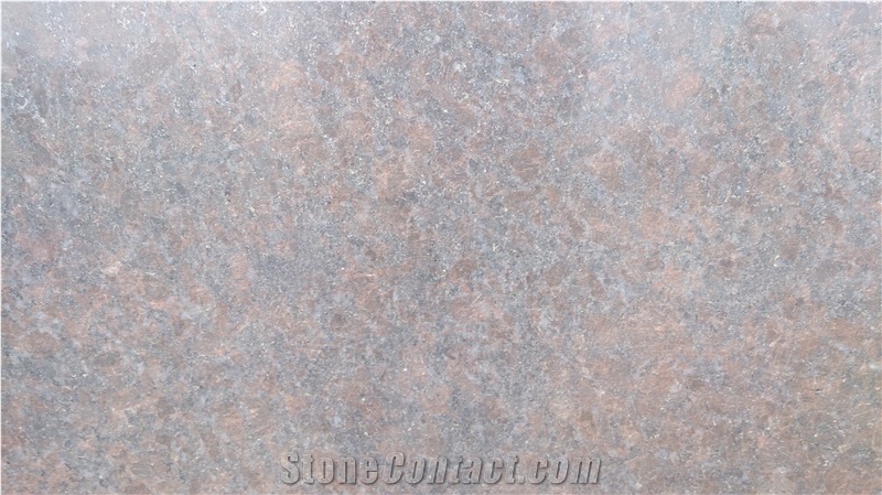 Coffee Brown Slabs & Tiles, India Brown Granite