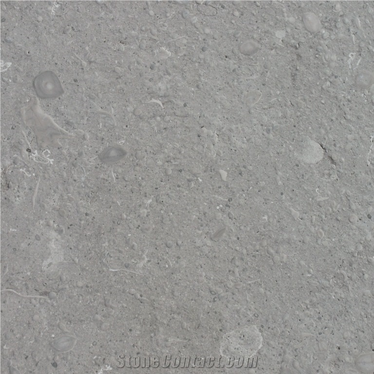 Grigio Argento Limestone Levigato Slabs & Tiles, Italy Grey Limestone