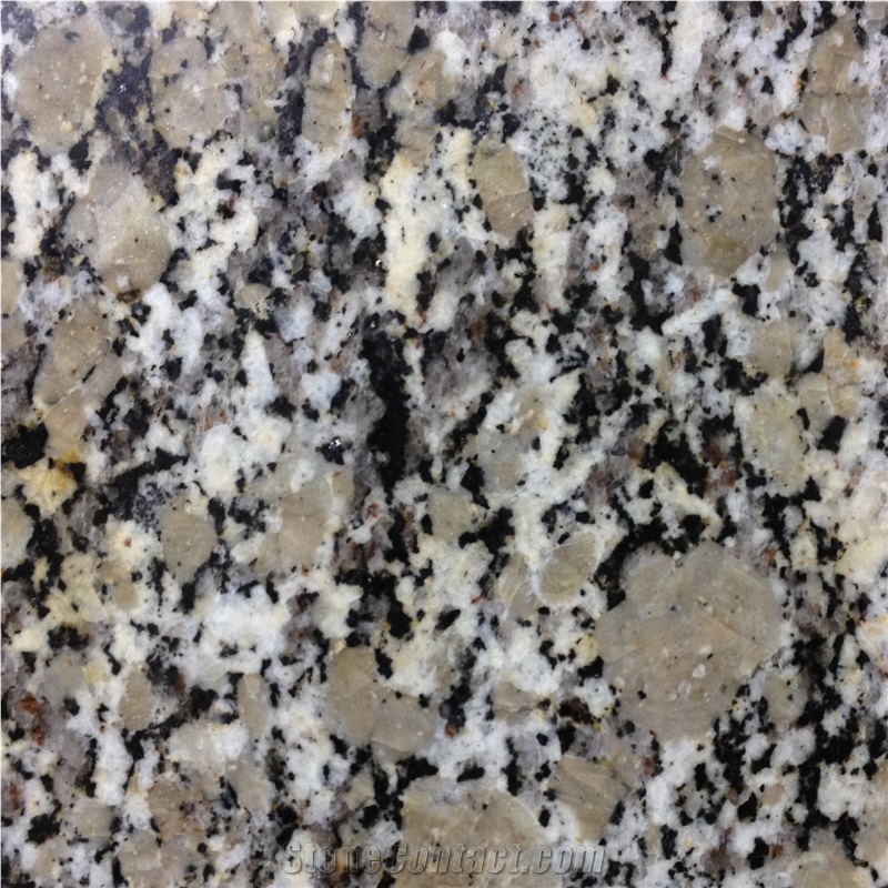Golden Pearl Granite Slabs & Tiles, China Yellow Granite