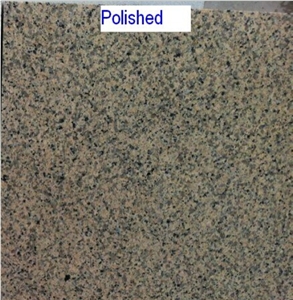 New Karamori Gold Granite Slabs & Tiles, China Yellow Granite
