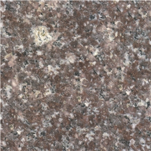 Wellest G306 Mountain Pink Granite Slab&Tile, China Pink Granite