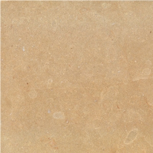 Wellest M854 Golden Sinai Limestone Tile & Slab