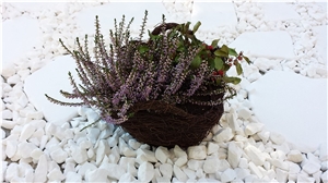 Santorini White Premium Marble Chips,Santorini White Premium Marble Flagstone, Santorini White Marble Pebble & Gravel