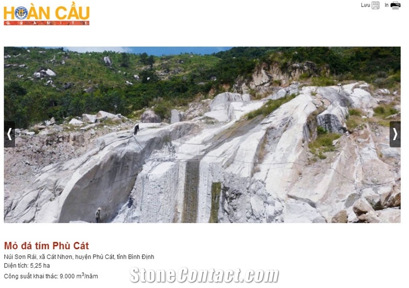 Phu Cat Violet Granite Slabs, Tiles