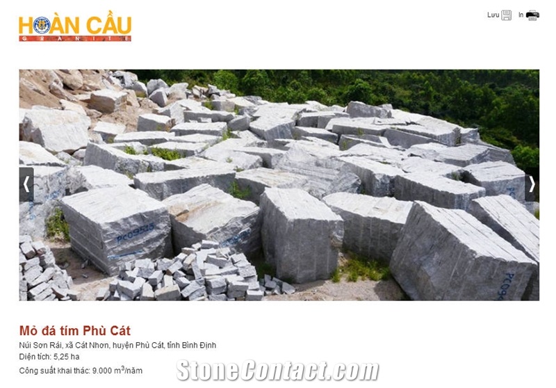 Phu Cat Violet Granite Slabs, Tiles