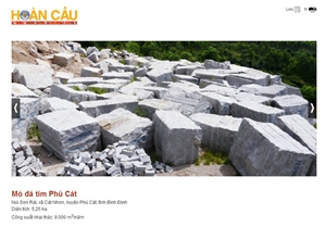 Phu Cat Violet Granite Slabs, Tiles