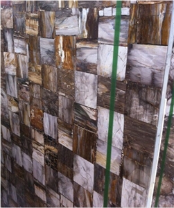 Petrified Wood Semiprecious Stone Slab