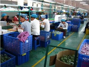 During Production Inspection