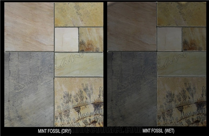 Mint Fossil Sandstone Slabs & Tiles, India Beige Sandstone
