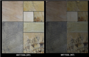 Mint Fossil Sandstone Slabs & Tiles, India Beige Sandstone