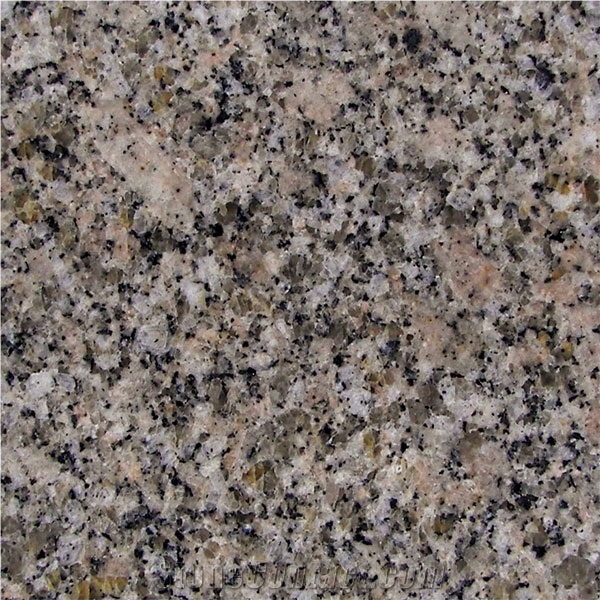 Bala Flower Granite Slab, India Green Granite