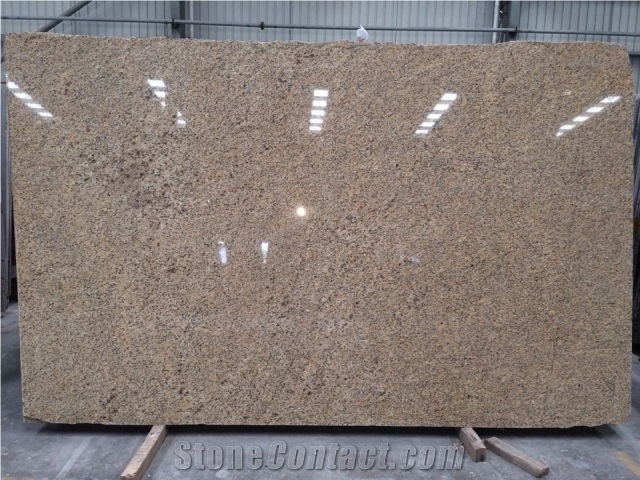 Giallo Ornamental New