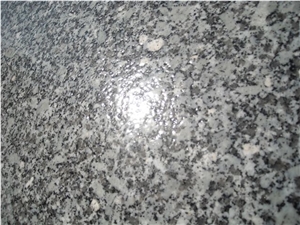 Portugal Azul Transmontano Grey Granite Tiles & Slabs