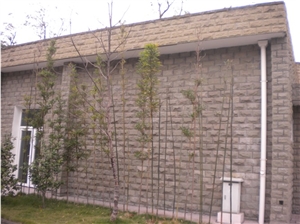 China Yellow Sandstone Wall Tiles Projects