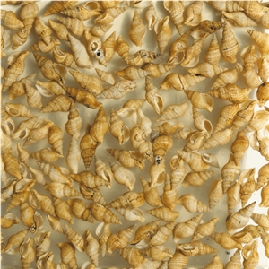 Artificial Onyx Slab Pxhy004,Vivipara