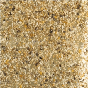 Artificial Stone Vivipara Pxhy003 Slabs & Tiles Artificial Stone Vivipara Pxhy003 Slabs & Tiles