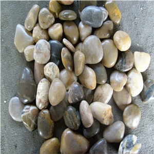 Multicolor Pebble Stone