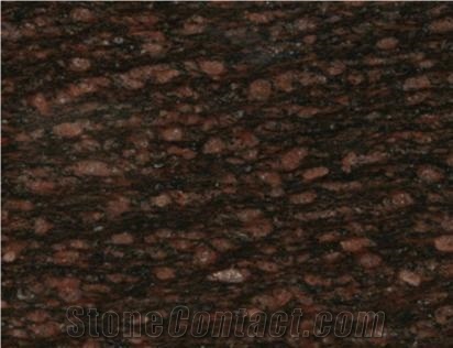 Asian Top Granite Slabs & Tiles, India Brown Granite