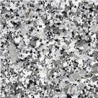 Bala Flower Granite Slabs & Tiles, India Grey Granite
