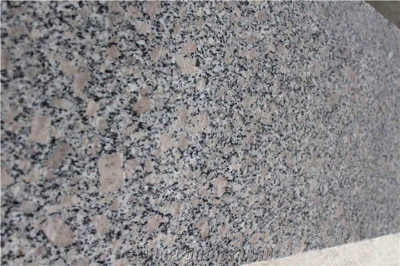 G383 Pearl Flower Granite Slab, Slabs