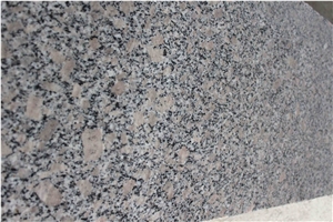 G383 Pearl Flower Granite Slab, Slabs
