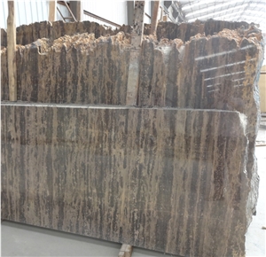 Golden Beach Brown Limestone Slab