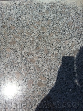 Chinese Cheap Pearl Flower Granite G383 Slabs & Tiles