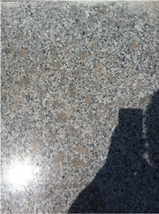 Chinese Cheap Pearl Flower Granite G383 Slabs & Tiles