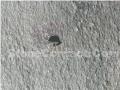 Andesite Grey Flamed Tiles, Indonesia Grey Andesite