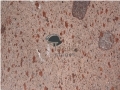Andesite Red Polished Tiles, Indonesia Red Andesite