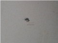 Indonesia White Limestone Slabs & Tiles Indonesia White Limestone Slabs & Tiles