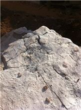 Prodrill Crackmax Exspanding Powder