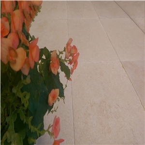 Maron Classic - Burguogne Renasiance - Seashell Limestone Slabs & Tiles, Turkey Beige Limestone