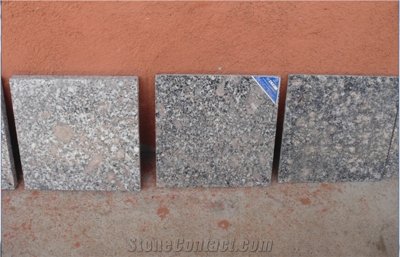 Royal Palm Drill Slabs & Tiles