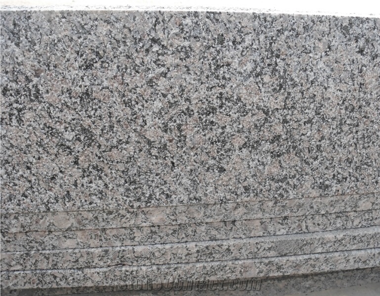 Royal Palm Drill Slabs & Tiles