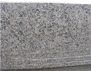 Royal Palm Drill Slabs & Tiles