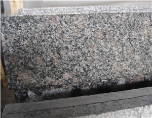 Royal Palm Drill Slabs & Tiles