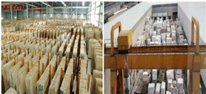 Royal Palm Drill Slabs & Tiles