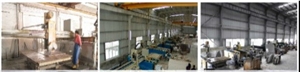 Royal Palm Drill Slabs & Tiles