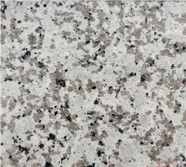 Bala White Granite Tile, China White Granite Bala White Granite Tile, China White Granite
